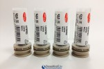 Распылитель DELPHI L076PBD