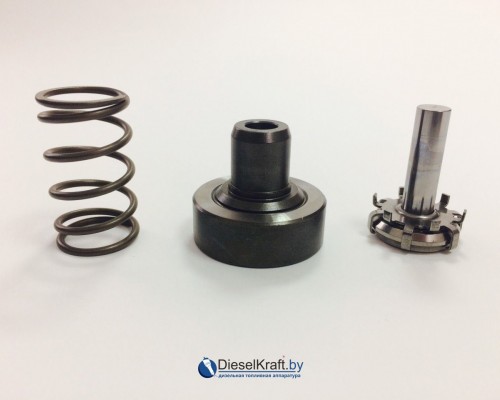Плунжерная пара BOSCH F01M101349