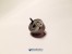 Клапан BOSCH пьезо GR 11-26-001 F00GX17704